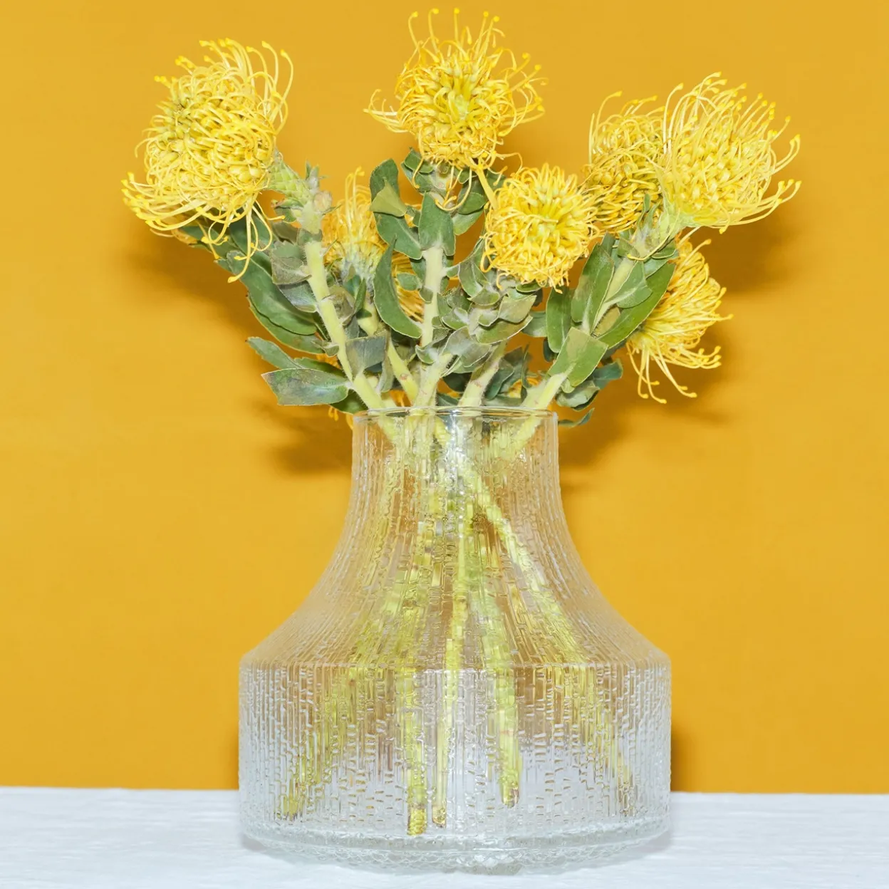 Lasimaljakko 180x192mm kirkas