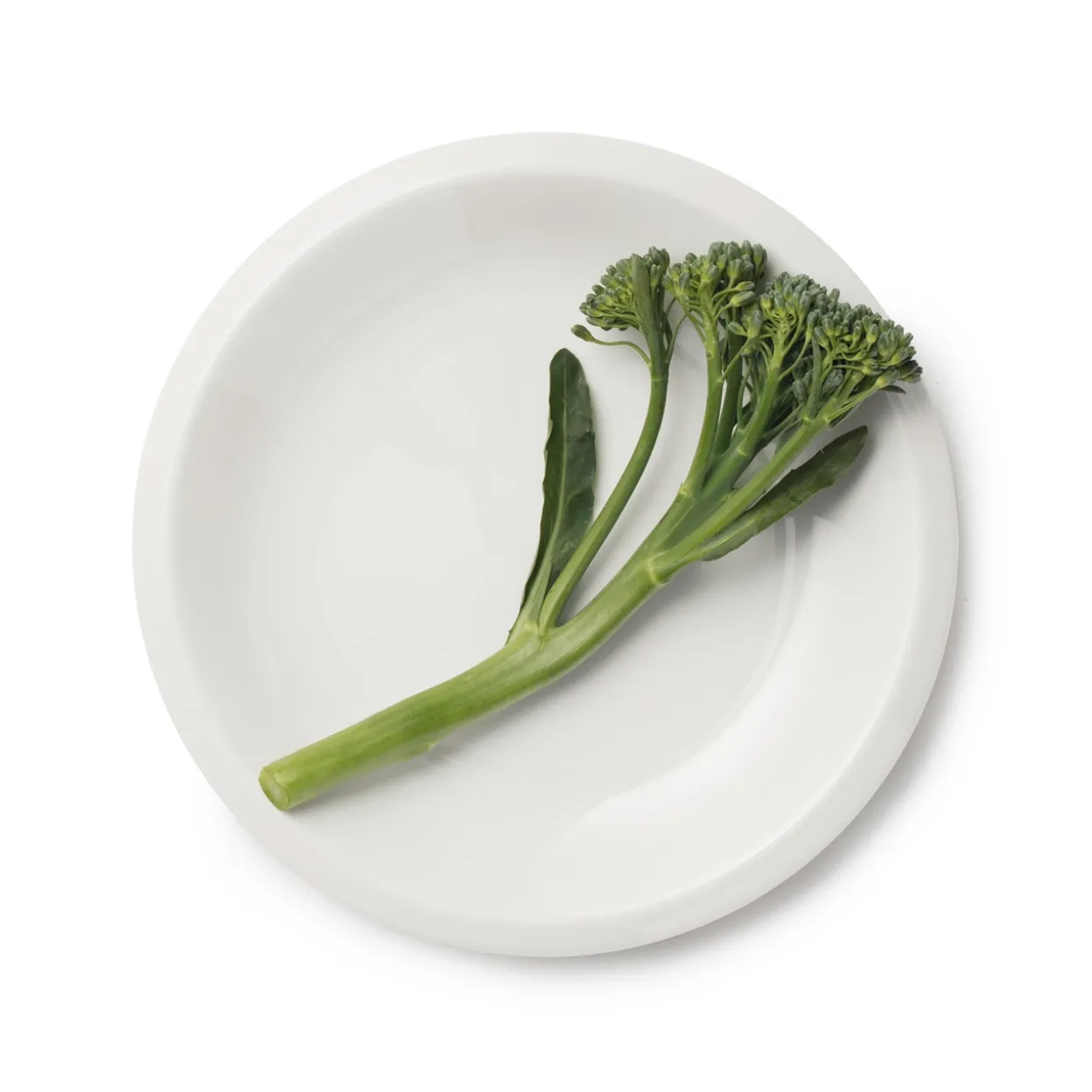 Lautanen 17cm valkoinen