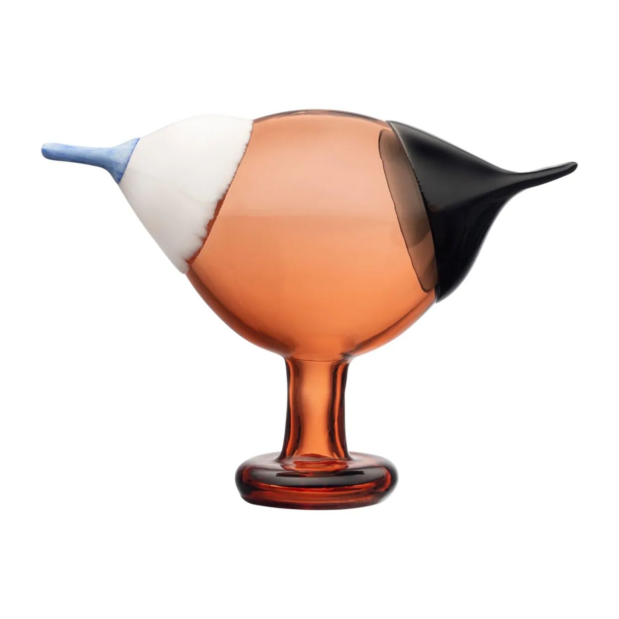 Rantaharakka 250x175mm pomeranssi