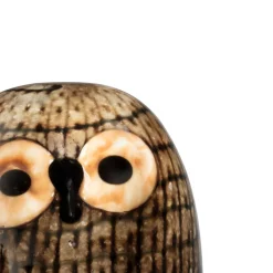 Riihipöllö 100x155mm ruskea