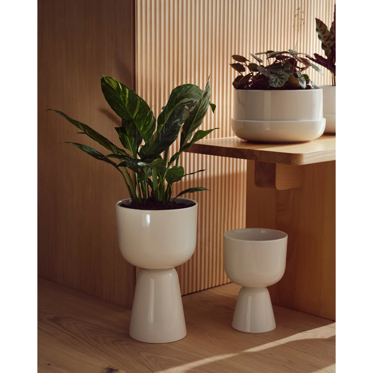 Ruukku ja vati valkoinen M